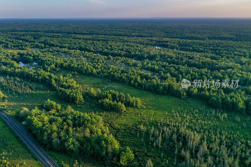 黄昏时的Muskoka Torrance Barrens Dark-Sky保护区，Gravenhurst，加拿大